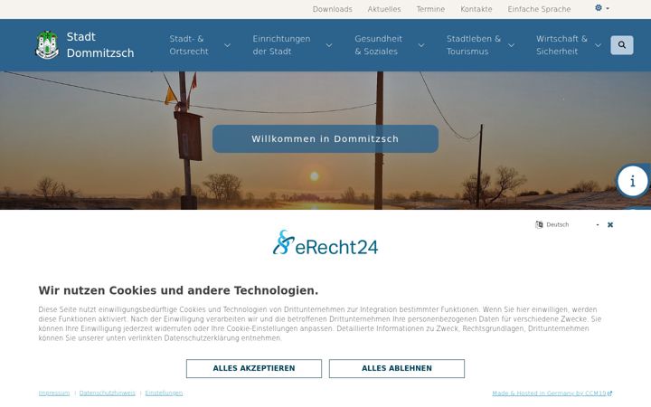 Screenshot of dommitzsch.de