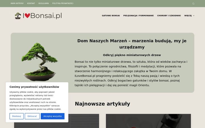 Captură de ecran a domnaszychmarzen.pl