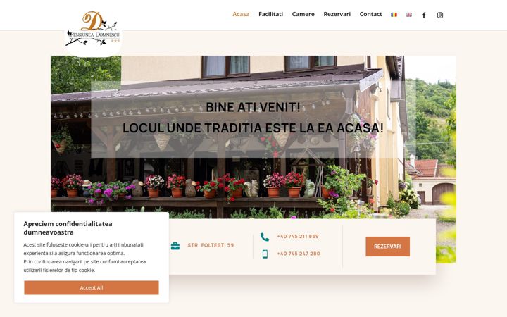 Screenshot of domnescu.ro