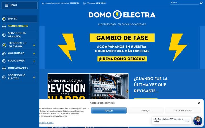 Screenshot of domoelectra.com