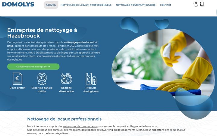 Screenshot ta' domolys-services.fr