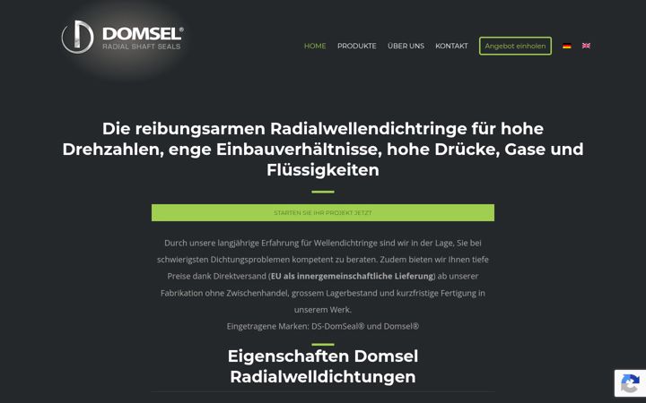 Screenshot of domselag.ch