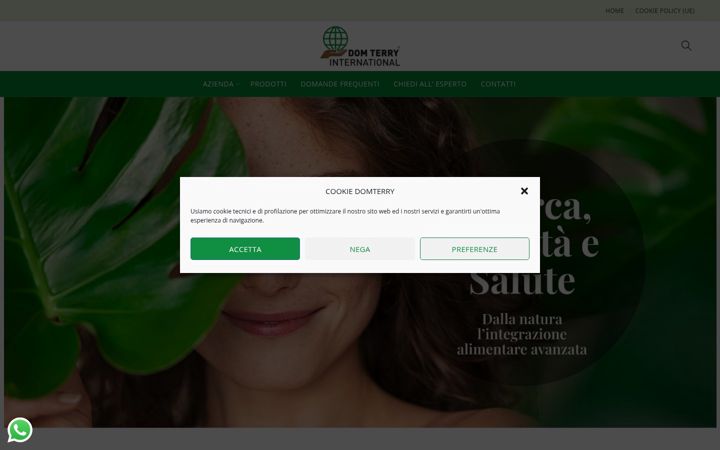 Screenshot of domterryinternational.com
