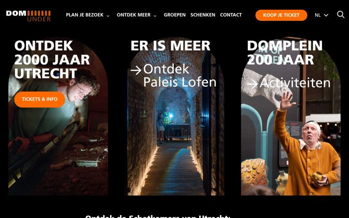 Screenshot of domunder.nl