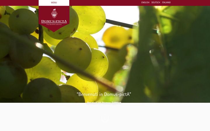 Screenshot of domus-picta.com
