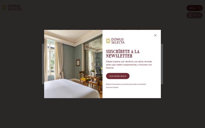 Screenshot of domusselecta.com