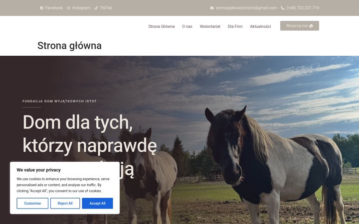 Ekrano kopija domwyjatkowychistot.pl