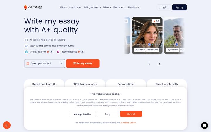 Screenshot of domyessay.com