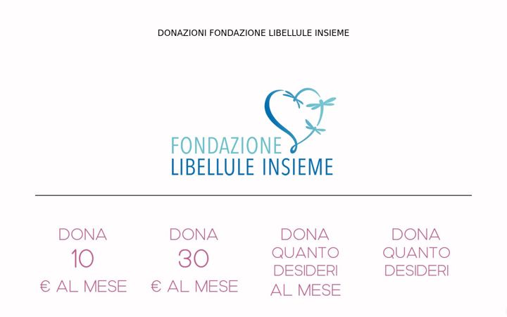 Zrzut ekranu donazioniassociazionelibellule.it