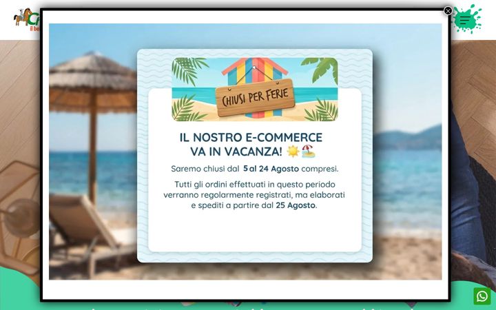 Kuvakaappaus sivustosta donchisciotte.info