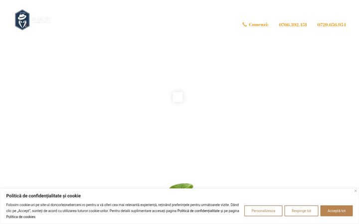 Screenshot of doncorleoneberceni.ro
