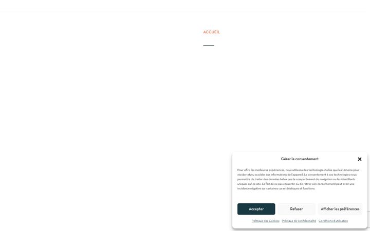 Screenshot ta' dondelaterre.ca