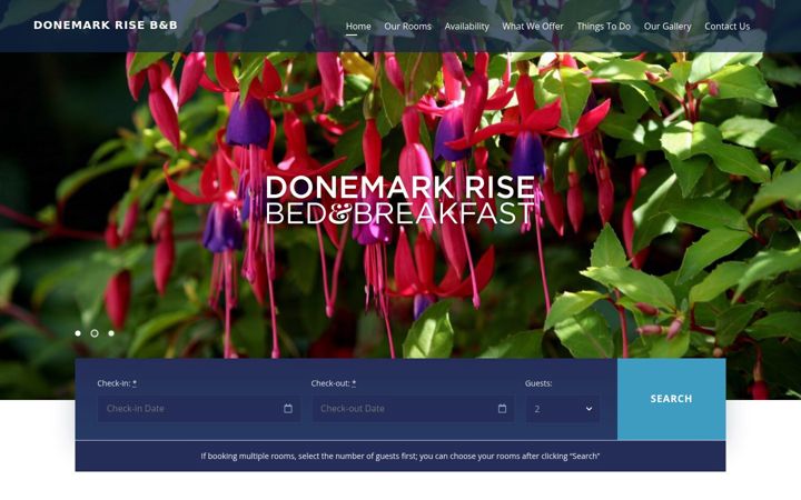 Skjermbilde av donemarkrise.ie