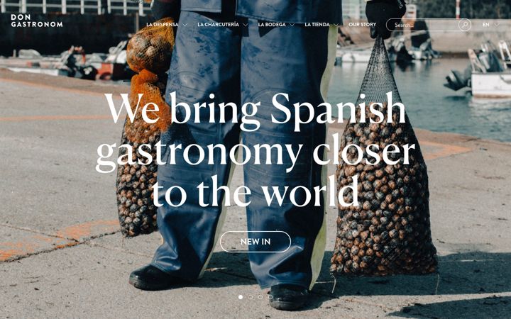 Screenshot of dongastronom.com