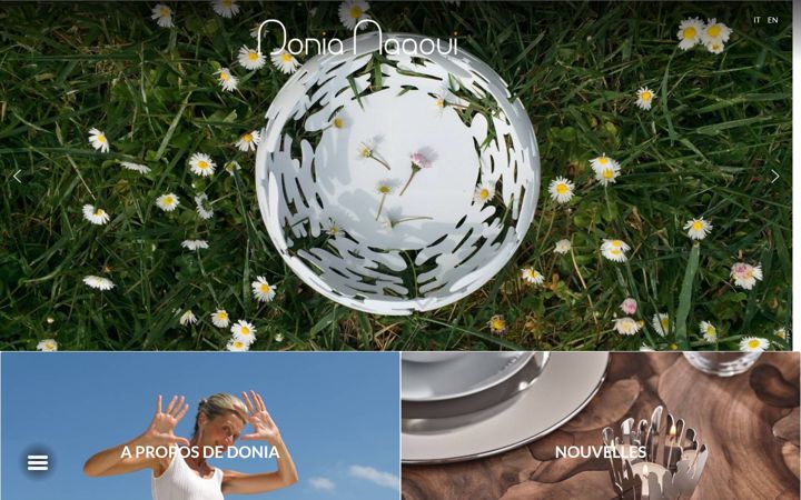 Screenshot of doniamaaoui.com