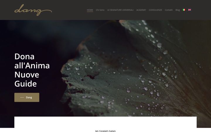 Screenshot of donidellanima.com