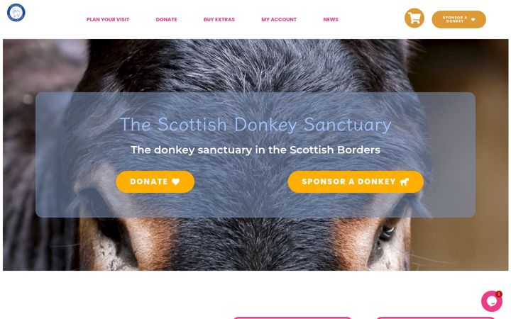 Ekrano kopija donkeyheaven.org