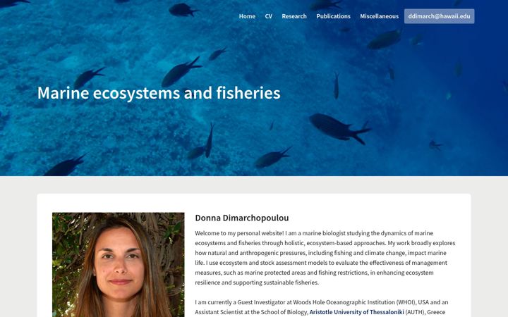 Screenshot of donnadim.com