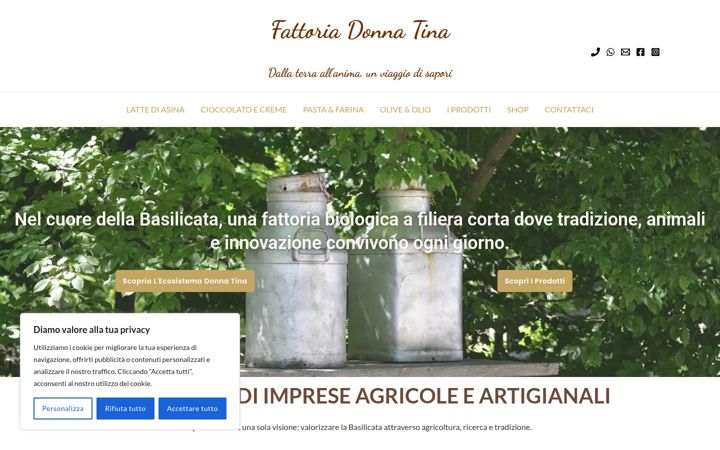 Screenshot of donnatina.it