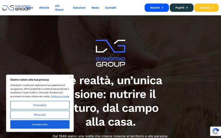 Screenshot of donofriogroup.it