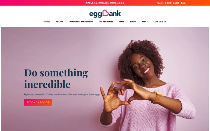 Screenshot of donoreggbank.co.uk
