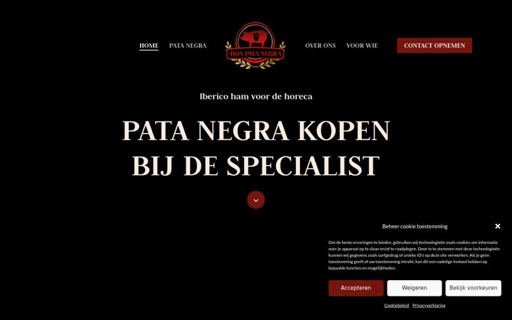 Skjermbilde av donpatanegra.nl