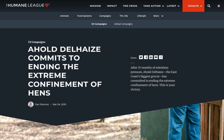 Screenshot of dontbeacheater.com
