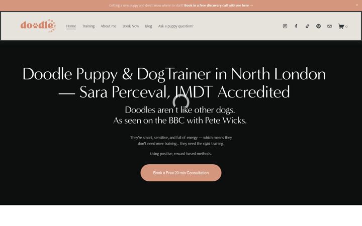 Snímek obrazovky doodledoggies.co.uk