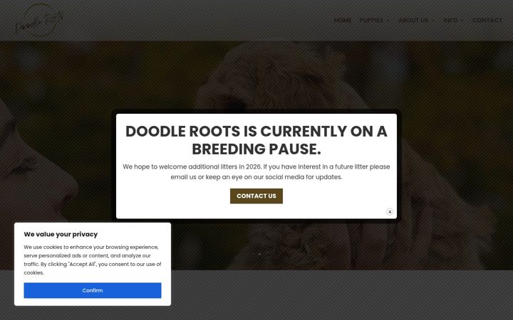 Screenshot of doodleroots.com