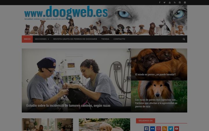 Zrzut ekranu doogweb.es