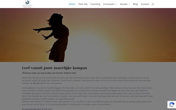 Skjermbilde av door-inzicht.nl
