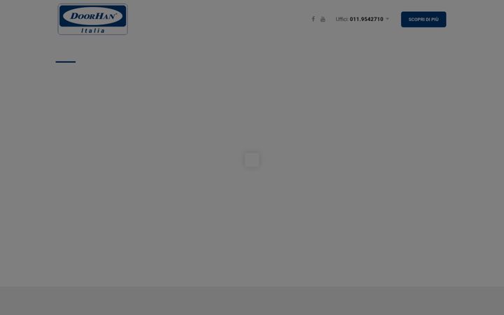 Screenshot of doorhanitalia.it