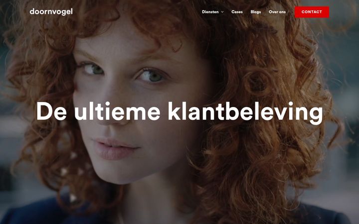 Screenshot of doornvogel.com
