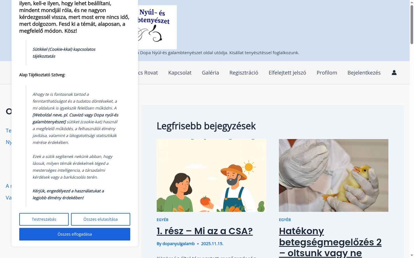 Screenshot of the consent banner shown before any interaction