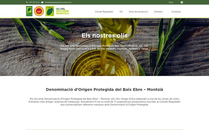 Screenshot of dopbaixebremontsia.com