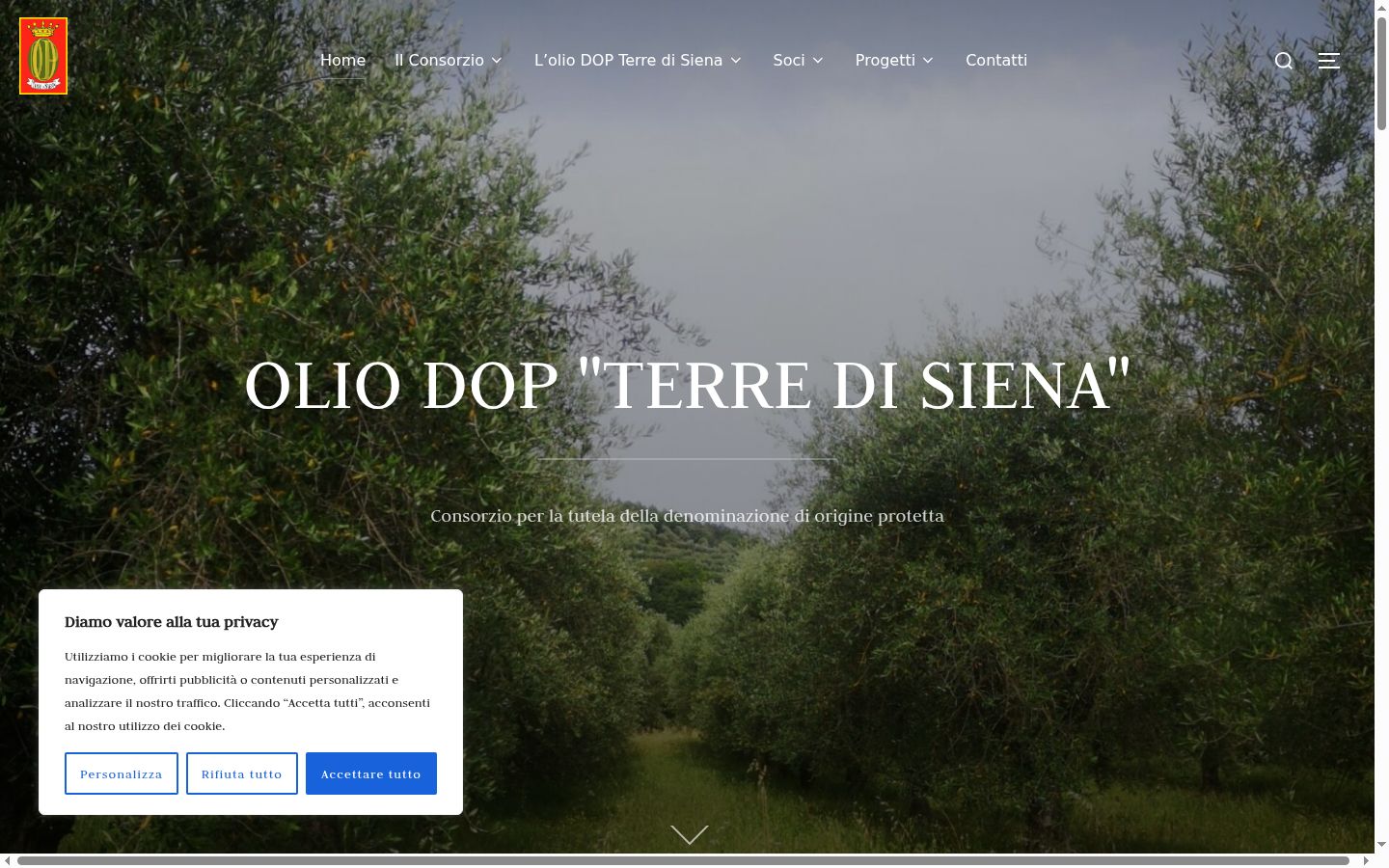 Screenshot del banner di consenso mostrato prima di qualsiasi interazione