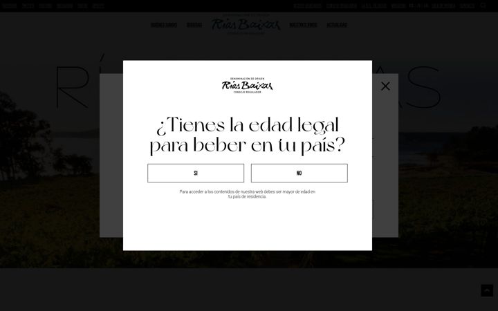 Screenshot of doriasbaixas.com