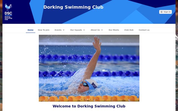 Screenshot of dorkingsc.com