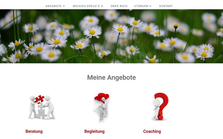 Screenshot of dorsch-beratung.de