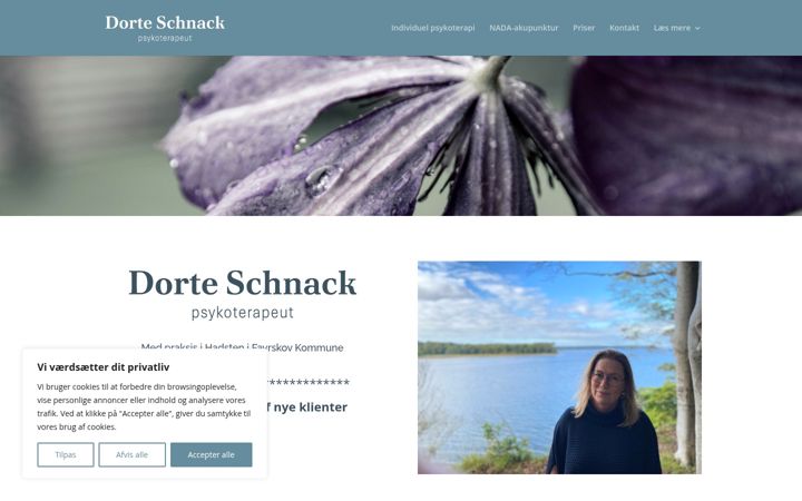 Snímek obrazovky dorteschnack.dk