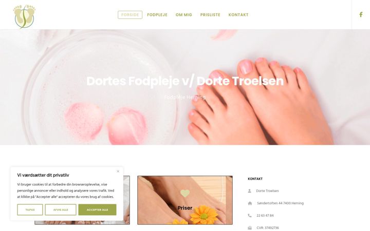 Snímek obrazovky dortesfodpleje.dk
