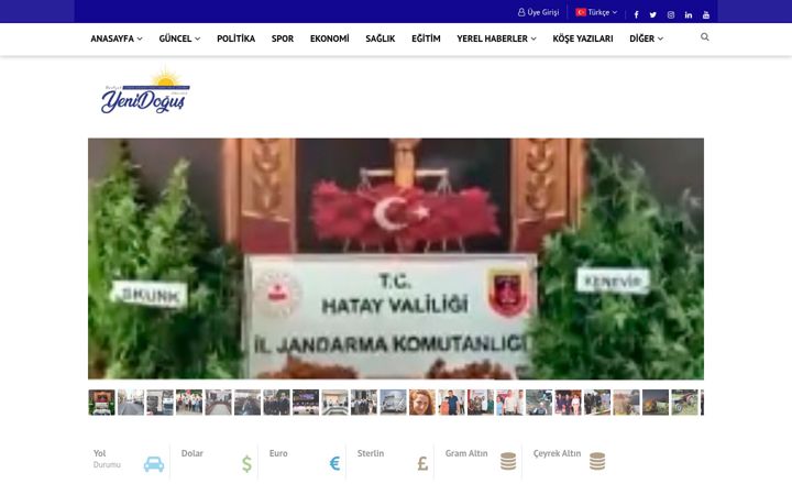 Screenshot of dortyoldogusmedya.com