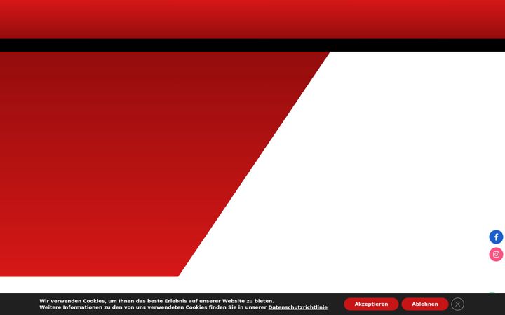 Snímek obrazovky dot-werbetechnik.at