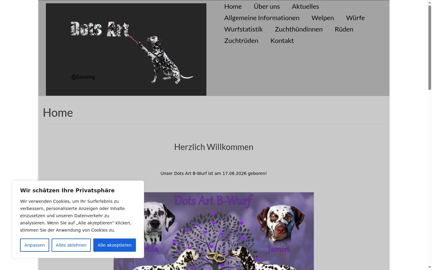Screenshot of the consent banner shown before any interaction