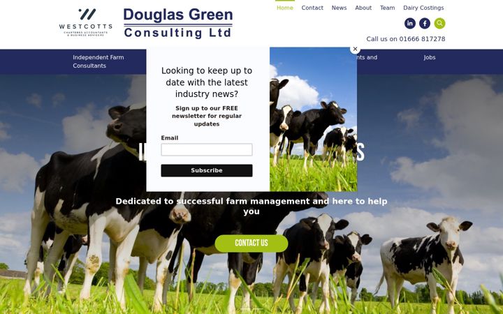 Screenshot of douglasgreenconsulting.co.uk