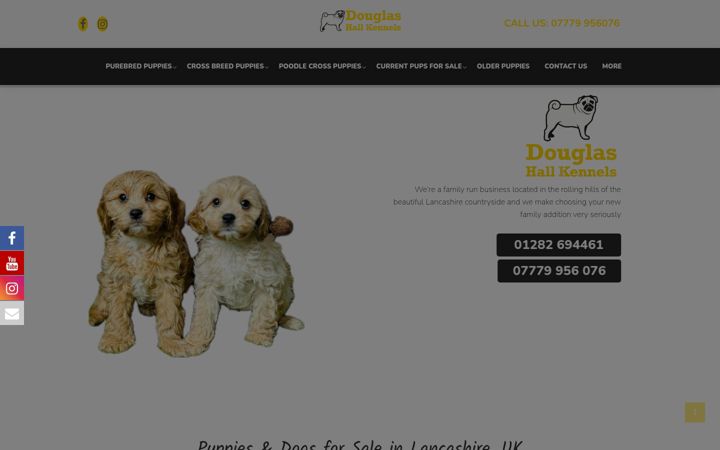 Snímek obrazovky douglashallkennels.co.uk