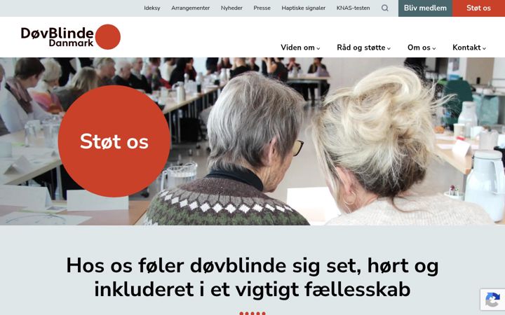 Snímek obrazovky dovblinde.dk