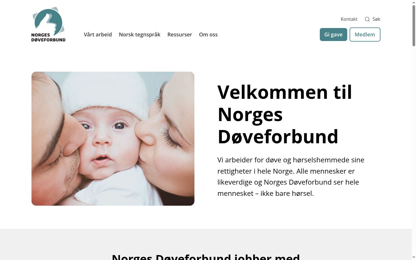 Skærmbillede af samtykkebanneret, som det blev vist før nogen interaktion