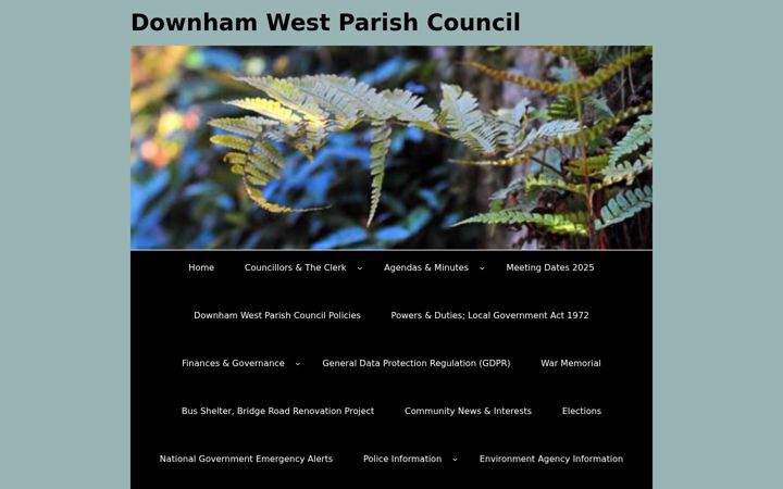 Zrzut ekranu downhamwest-pc.gov.uk