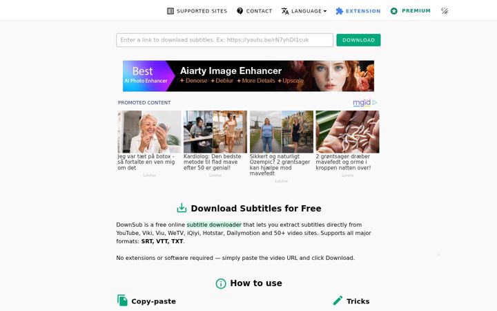 downsub.com